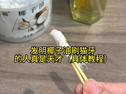 发明这样去猫猫结石的人真是天才#宠物 #小猫 #哈基咪 #亨利爸爸洁齿水