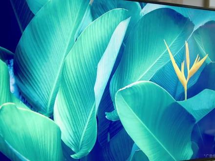 【Redmi智能电视A55 】55英寸 4K超高清 智能语音 立体声澎湃音效 #红米电视 #小米智能生活 #只做高品质 @DOU+上热门 @DOU+小助手