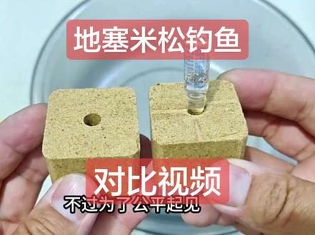 地塞米松钓鱼 水下对比视频 都说地塞米松钓鱼好使 这次的对比视频才能看出他的真实效果 #钓鱼人 #真实生活分享计划 #钓鱼佬才懂的神级装备 #钓鱼知识 #原来钓鱼才是抖音运动顶流 @DOU+小助手 @我要上热门