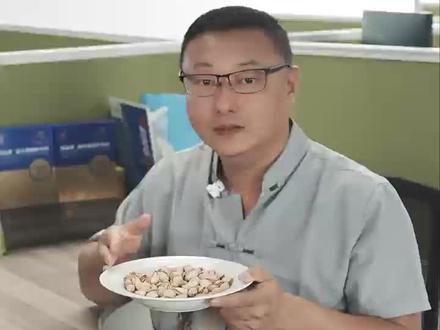 开心果含嘌量中等, 适量吃开心果可降低酸值,实测吃开心果酸值变化#控酸#实测视频 #迈亚塔