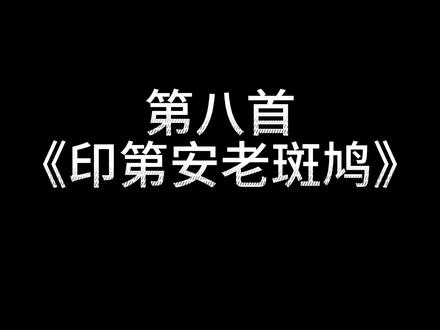 reaction周杰伦《JAY》印第安老斑鸠#原神夏日回响音乐会 #周杰伦