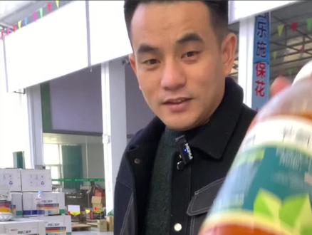 催老师,花芽分化可以加苄氨基嘌呤吗#抖音助农 #新农人计划2023 #助力果农 #农业植保分享