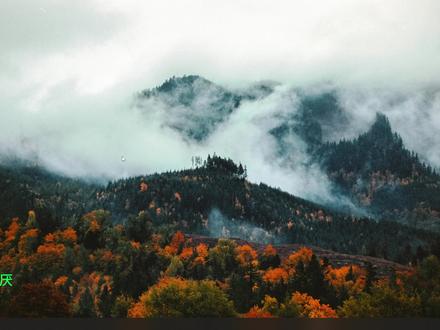 webp格式的图片怎么转png?它只需右击即可转换 #1165 #webp转png #webp转png软件