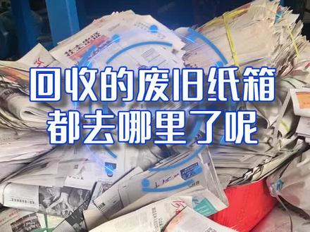 这下你知道收破烂收的废纸怎么处理了吧,处理后价值真的翻几十倍#撕碎机厂家 #废纸撕碎机 #万能撕碎机