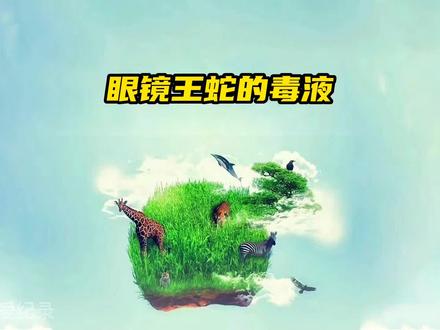 巨型眼镜王蛇,老表轻松拿捏,取其毒液!#神奇动物在抖音 #蛇 #危险动作请勿模仿 #老外真会玩