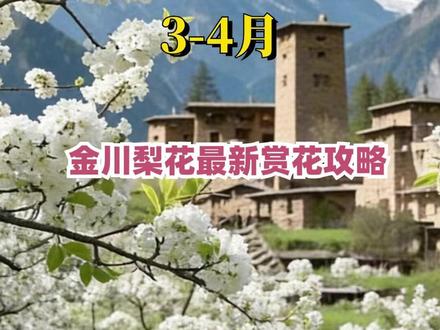 2026年金川梨花最详细的赏花攻略来了, 最佳的赏花时间是3月中旬到4月初,最佳赏花地点有三个.........#川西 #金川 #金川梨花 #川西美景 #成都周边游