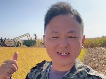 散装大米的危害有哪些?为啥不建议大家买散装大米呢?#大米 #粮食 #三农 #食品安全 #科技与狠活