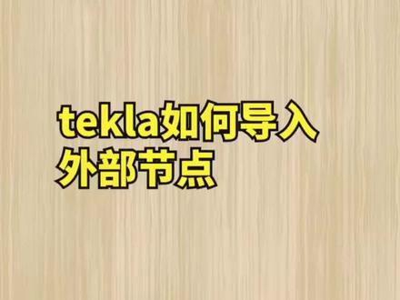 钢结构培训tekla如何导入外部节点#tekla教学 #tekla培训 #钢结构培训 #pkpm #@DOU+小助手