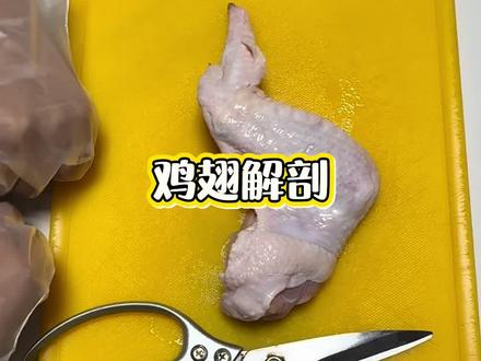 暑假生物作业已完成✅