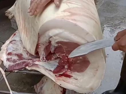 这就是农村饲养的土猪肉 #土猪 #农村土猪 #涨知识 #科普知识