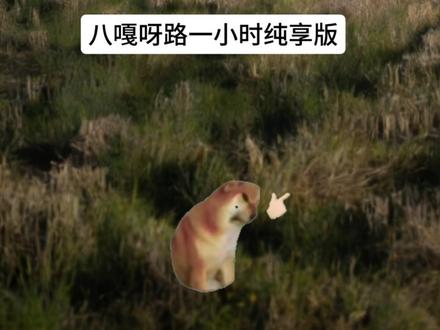 八嘎呀路一小时纯享版(有小彩蛋)#猫meme #meme #超长完整版 #猫meme小剧场