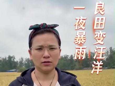 靠天吃饭的农民太难了,一场暴雨就能毁掉一季的收成#新农人计划 #三农#农人不易 #湖南暴雨 #粒粒皆辛苦