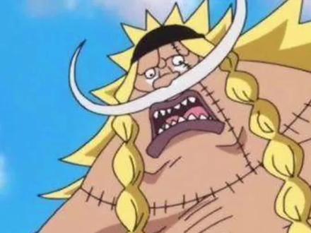 海贼王王下七武海实力排名白胡子二世威布尔#海贼王 #动漫剪辑 #白胡子二世 @瑶瑶要早起 #王下七武海