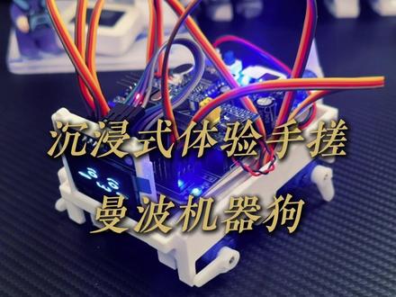 DIY曼波机器狗#机器狗 #玩具 #AI