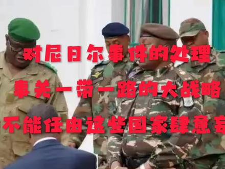尼日尔事件需要让这些国家感觉到痛