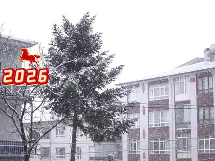 春晚机器人 C 位竟是低调王者!中国巨神智能迈入实干时代