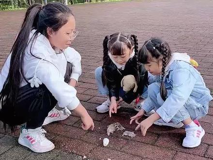 爸爸抓仓鼠,妈妈说是老鼠,结果...#家庭搞笑 #家有熊老爸