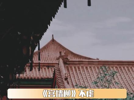幸运的是她只动心了三天,便心燃尽成灰,从此在这深宫里无忧无虑再无牵挂#宫墙柳#be#虐心#小说#小柳儿