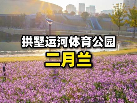 全部盛花期!在杭州不来会后悔的6大花海! #赏花 #杭州 #春暖花开 #花海