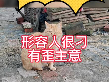 #方言 请你们评论区艾特出来#创作灵感