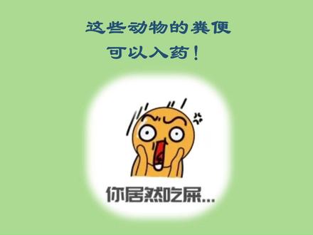 你知道这些动物的粪便可以入药吗?#粪便处理 #龙涎香 #五灵脂 #金汁 #肠道菌群