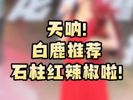 跑男发布会现场,白鹿推荐石柱红辣椒啦! #跑男来了 #跑男来重庆啦