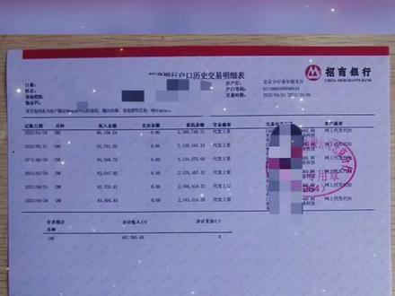 银行流水软件,定制银行流水,可以定制任何版本,车贷流水,房贷流水,信用贷流水,签证流水。