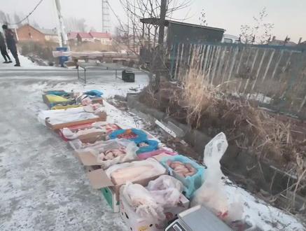 生活不一定很酷,但是要全力以赴,摆摊不摆烂,摆的不是地摊是人间烟火,摆的是希望,卖的是开心,赚的是希望#赶集摆摊 #农村日常生活 #赶集 #摆地摊 #我的日常生活