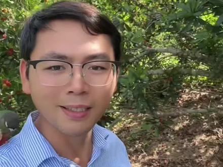 不打药的杨梅长怎样?带你们看下吧!喜欢吃吗?#杨梅熟了