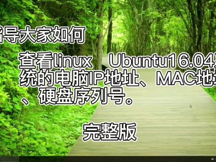 linux Ubuntu16.04电脑系统查看IP地址、MAC地址、硬盘序列号。 #Linux