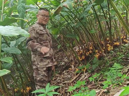 秘境边陲、生态前哨、美丽德宏