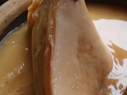 醋蛾子红茶菌真的可以吃吗? #醋蛾子 #红茶菌 #科普冷知识 #健康科普 #科普健康知识 #涨知识抗忽悠