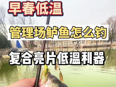 早春低温,管理场鲈鱼怎么钓
记好六字真言:
慢拖、轻抖、多停
复合亮片,低速就转、反光诱鱼、防挂稳搜,
低温破口,一钓一个准!
#路亚才是抖音顶流运动 #路亚教学 #分享钓鱼技巧 #飞钓体验师大熊 #复合亮片
