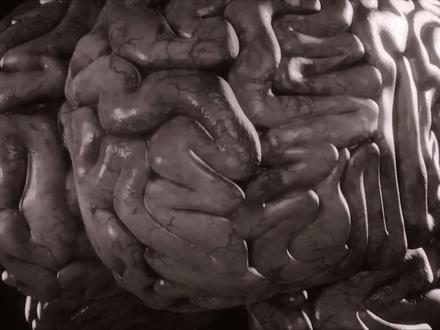 第2/3集:朊病毒背后的可怕真相 #科普一下 #微观世界 #朊病毒 #羊瘙痒病