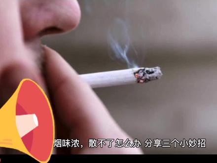 房间里烟味浓,散不了怎么办,分享三个小妙招