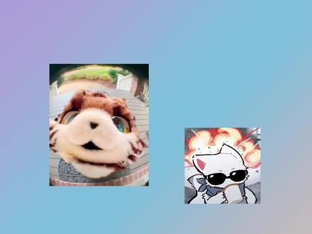 福瑞的问题我帮你们解答了#兽装