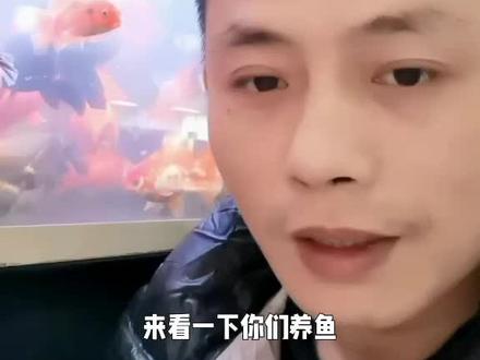 鱼缸水发白怎么办#养鱼经验分享 #鱼缸水白