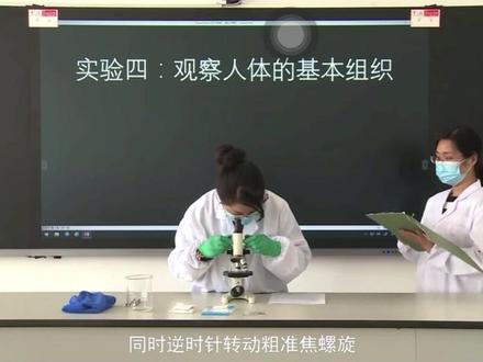 观察人体的基本组织 生物实验操作:观察人体的基本组织#生物实验 #初中生物 #中考 #家长收藏孩子受益