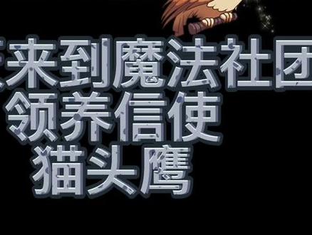 ❤️猫头鹰❤️🦉🦉#哈利波特魔法觉醒 #致敬哈利波特 #简笔画