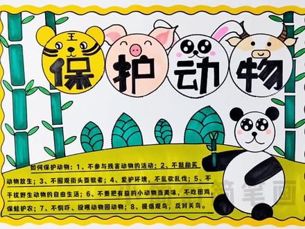保护动物手抄报/爱护动物手抄报,简单好看,有线稿可打印#保护动物 #手抄报 #爱护动物 #手抄报模板 #保护动物从我做起