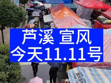 宣风九月二十八庙会,可惜天公不作美,难得的星期天,可又是下雨了……#农村赶集 #摆地摊创业 #跑江湖