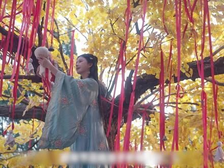 打生桩藏双婴秘事,福袋渗血、妻亡妾死,大理寺追凶破诡案 #唐诡奇案开播 #唐诡奇案 #唐诡奇案诡案迷踪