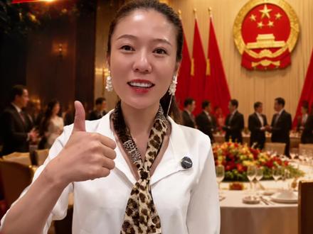 能有资格出席国宴的中国企业,为什么是这10家?#中国企业家 #中国人的故事 #正能量 #厉害了我的国 #哈尼
