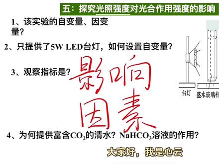 一个视频!浙大学姐带你从0速通光合作用 在学校没听懂?看完这期视频就懂啦~
欢迎来到你的免费生物网课!
这期视频是《必修一》5.3.4 光合作用的影响因素,前面的章节也都已经发布哦~
从在这里和大家分享生物知识,到今天成为高一生物的支教老师,真的很幸运也很开心🥰
希望我们可以一起快乐学生物!欢迎关注➕收藏哦~
#高一#高中#高中生物#高中生物怎么学#学霸秘籍