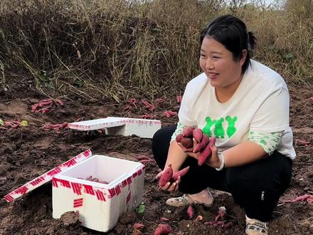 #我的乡村生活 #记录真实生活 #新农人计划2023 ,我家地瓜大丰收啦,地瓜娃子嘎嘎好吃啊