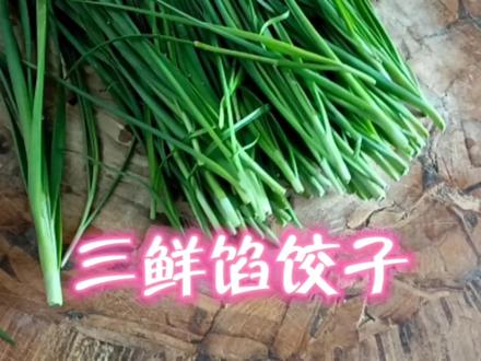 韭菜鸡蛋虾皮三鲜馅饺子,大厨一招教你包到最后不出一滴汤 #健康美食自己做 #厨房里的欢乐时光
