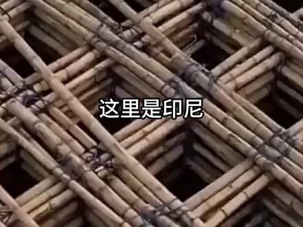 印尼为什么用竹子修路? #印尼 #竹子公路 #竹子修路 #竹子