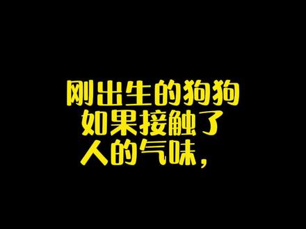 在农村,老人经常会告诉我,不能摸刚出生的狗,否则会出事