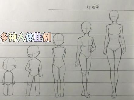 #绘画教程 多种头身比举例,人体结构比例