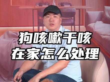 狗咳嗽干呕在家怎么处理#科学养宠攻略 #养狗经验分享 #新手养狗 #萌宠好物 #养宠进阶指南